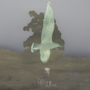 滝川恵理中文无码AV
