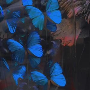 滝川恵理中文无码AV
